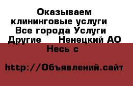 Оказываем клининговые услуги! - Все города Услуги » Другие   . Ненецкий АО,Несь с.